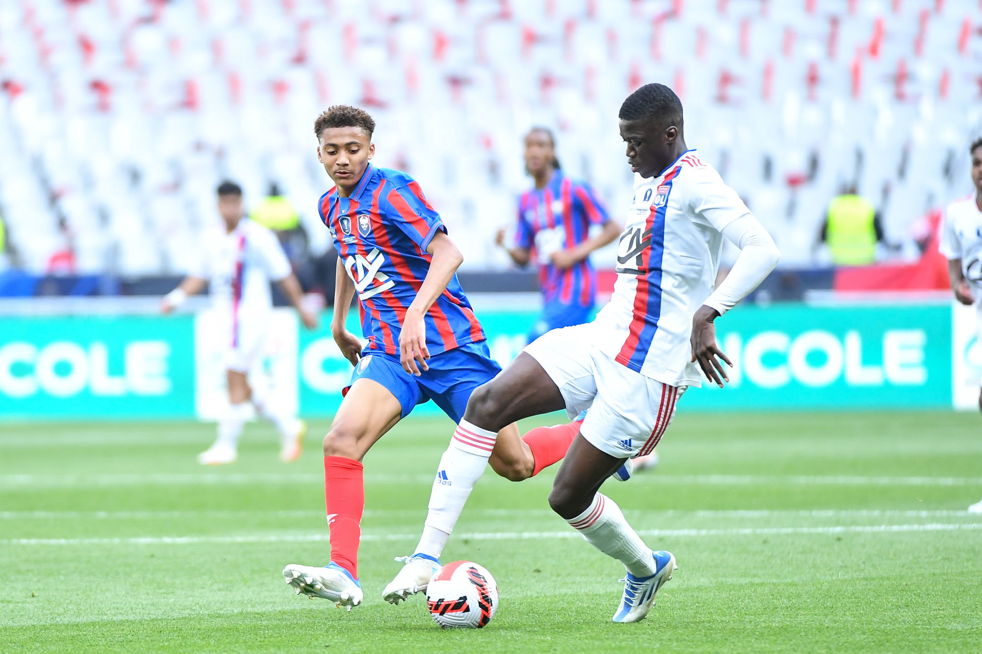 法国杯赛程吃紧，广厦男篮清晨再遭质疑，媒体盛赞，球探报告显示潜力的简单介绍